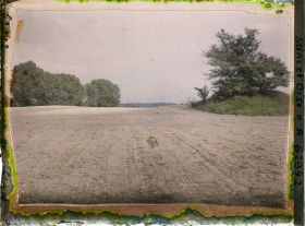 Image représentant Ile de France, Frepillon, Ensemencement de betteraves