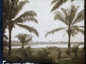 Image représentant Paysage en direction de la lagune, à Porto-Novo ?