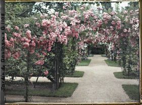 Image représentant Axe central du verger-roseraie vu à mi-parcours, en direction de la dépendance