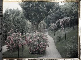 Image représentant Parterres fleuris au centre de l'allée située au sud du verger-roseraie, vus en direction de l'est