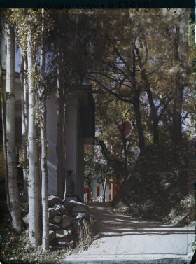 Image représentant Afghanistan, Paghman, Jardin du Palais du Roi - Allée dans le Jardin