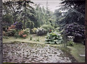 Image représentant Bord " d'étang " fleuri, situé à l'est du marais et vu dans cette même direction
