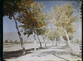 Image représentant Afghanistan, Kaboul, La route de Paghman Kaboul, autre aspect