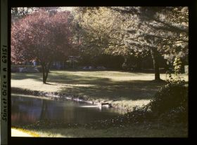 Image représentant Le jardins du Trocadéro?