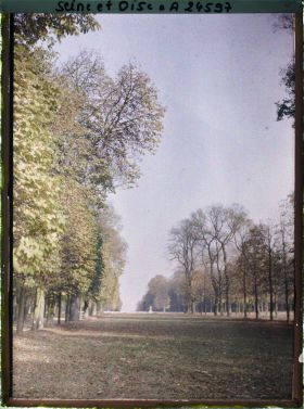 Image représentant Une allée dans le parc
