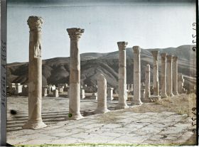 Image représentant Les Colonnades de l'ancien Forum, vestiges de la cité antique Cuicul