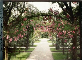 Image représentant Axe central du verger-roseraie vu à mi-parcours, en direction de la dépendance