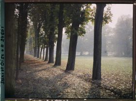 Image représentant Une allée dans le parc