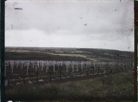 Image représentant France, Carency, Cimetière de Carency ; à l'horizon le bois de Carency
