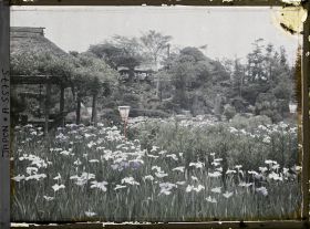 Image représentant Jardin d'iris de Horikiri