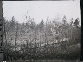 Image représentant Le bois de Boulogne