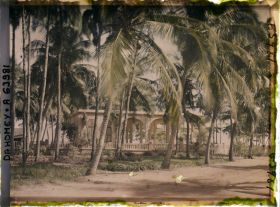 Image représentant Le tribunal indigène