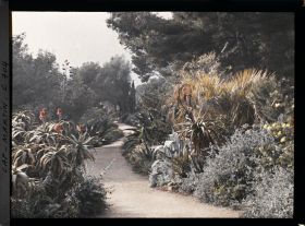 Image représentant Jardin divers