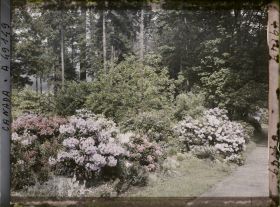 Image représentant Canada, Vancouver, Stanley Parc, Coin de Parc avec fleurs