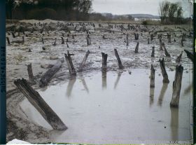 Image représentant Site palafittique préhistorique des Alpes, pieux en bois visibles lors de la baisse des eaux après la grande sécheresse de 1921