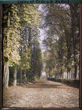 Image représentant Une allée dans le parc