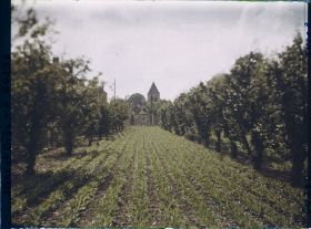 Image représentant Ile de France, Sarcelle St Briec, Contre - jour dans un verger