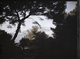 Image représentant Le Jardin (matin)