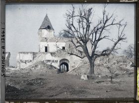 Image représentant France, Ham, L'arbre sous lequel venait se reposer Napoléon III