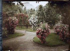 Image représentant Croisement d'allées orné de rosiers au sud du verger-roseraie, vu en direction de la serre