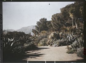 Image représentant Abord de Miramar