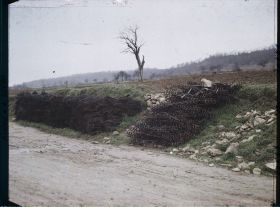 Image représentant France, Condé s/Aisne, Barbelés le long de la route, enlevés des Champs
