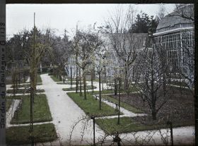 Image représentant Partie est du verger-roseraie en début de printemps, traversée par une allée menant à la forêt bleue