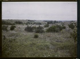 Image représentant France, Binarville (Meuse), Zone de combat secteur Français, à l'horizon, les hauteurs de Champagne
