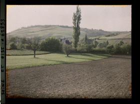 Image représentant Ile de France, Vetheuil, Contre jour sur champ de betteraves non levées