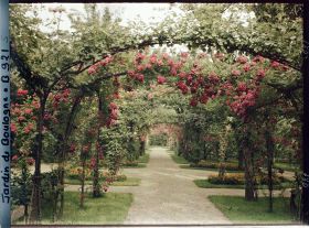 Image représentant Axe central du verger-roseraie vu en direction de la dépendance, à proximité du jardin français
