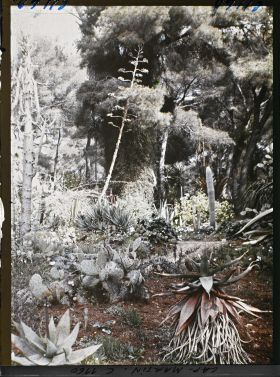 Image représentant le jardin