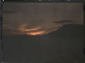 Image représentant Plantes exotiques se découpant dans le soleil couchant, en direction de Monaco