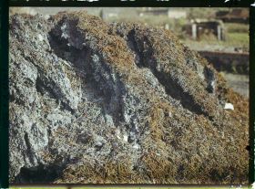 Image représentant France, Bussy, Dans une usine, les boches ont anéanti une quantité considérable de Clous à l'aide de différents acides