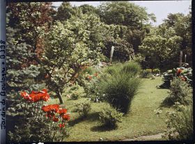 Image représentant Massif fleuri bordant les " étangs " du marais, vu vers le nord-est