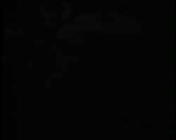 Image représentant Les jardins de monsieur Kahn