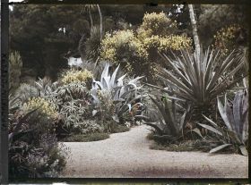 Image représentant Croisement d'allées orné d'agaves, aloès et genets en fleurs