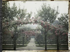 Image représentant Axe central du verger-roseraie vu vers le jardin anglais, depuis le second carrefour côté dépendance