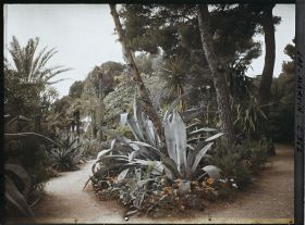 Image représentant Le Jardin