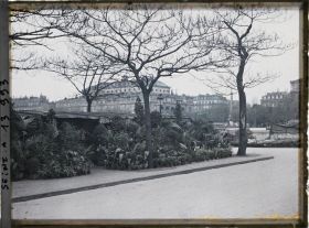 Image représentant Le marché aux fleurs sur l'île de la Cité, place Louis-Lépine