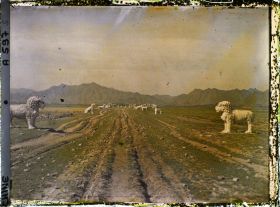 Image représentant Ming Shisanling (" Treize Tombeaux des Ming ")