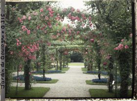 Image représentant Axe central du verger-roseraie vu vers le jardin anglais, près du rond-point côté jardin français