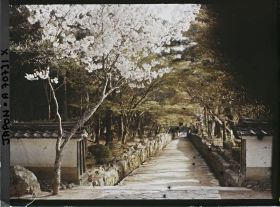 Image représentant Temple Kôshô-ji : cerisiers en fleurs devant la porte d'entrée et allée Kotozaka