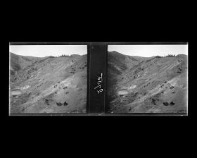 Image représentant Des troupeaux de bovins dans la région de Tsi-Kong-chan (Jigongshan, "montagne du Coq")