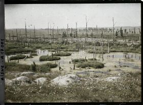 Image représentant France, Les Marais de la Cote 108 et les arbres déchiquetés