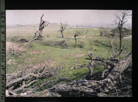 Image représentant France, Léomont, Arbres au 1er plan et sur la gauche la ferme de Frescat.