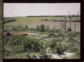 Image représentant France, Carency, Champs remis en Culture