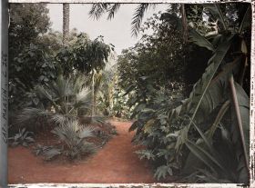 Image représentant Cap-Martin - Le Jardin