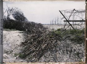 Image représentant France, Courcy, Réseaux enlevés des Champs