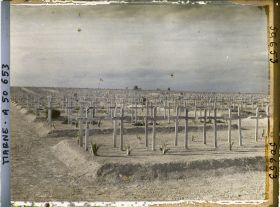 Image représentant France, Souain, Le Cimetière vu du Sud au Nord (22000 Français, 13000 Allemands)