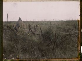 Image représentant France, La Tête à Vache, Le bois de la Louvière vu de la Tête à Vache